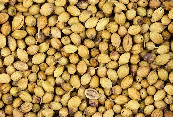 Coriander Seeds