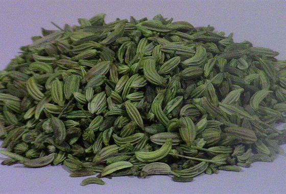 Fennel Seeds