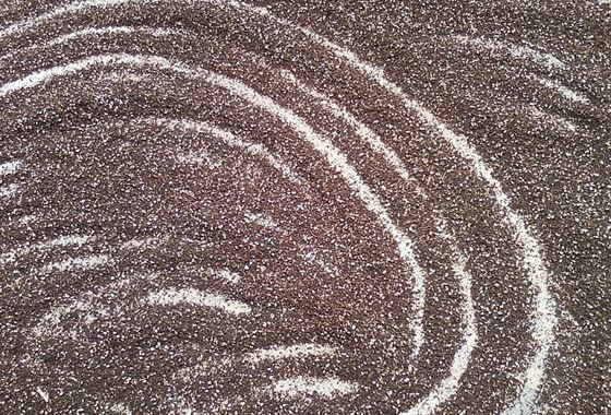 Mustard Seeds