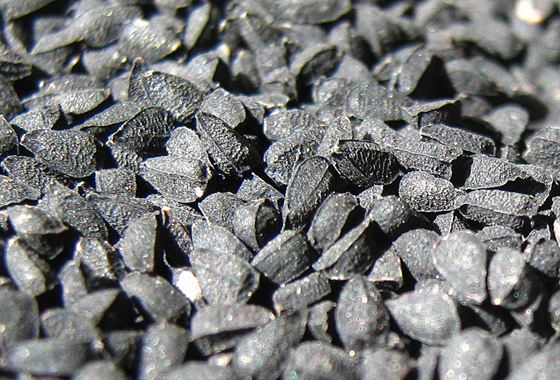 Nigella Seeds
