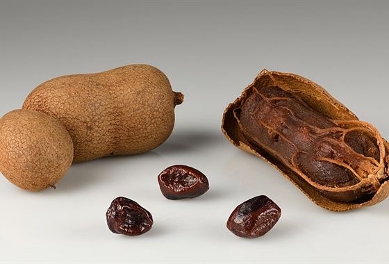 Tamarind